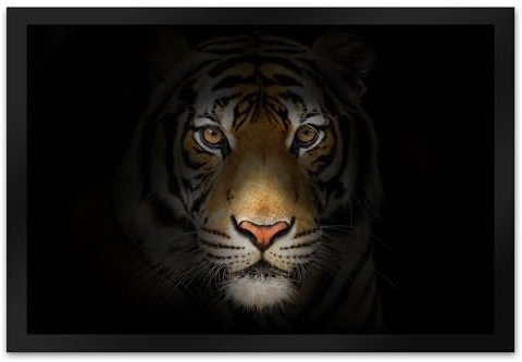 trendaffe - Tiger Fußmatte XL mit Motiv