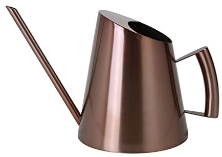 Anawakia Annaffiatoio in acciaio inox a bocca lunga, in metallo dorato, per piante da interni, fiori (400 ml, rame)