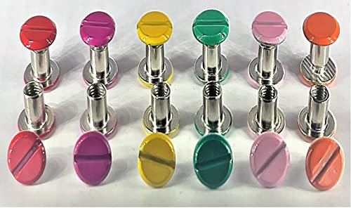 Q-tools® Buchschrauben 5mm | 60x Schraubnieten für Leder | Knopfnieten 5mm / Ledernietenset/Gürtelschrauben | Ziernieten, Schraubnieten | Verbindungsschrauben für Westerntrense, Taschenzubehör