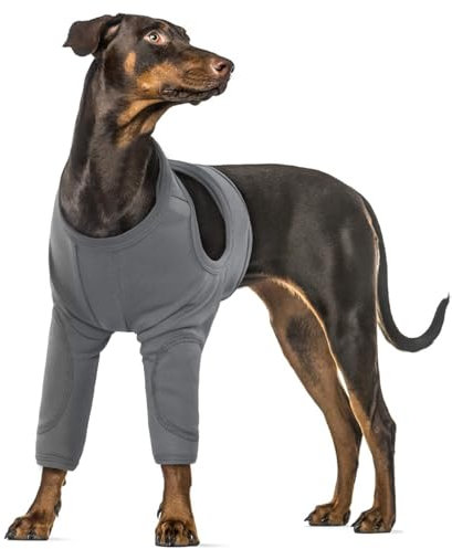 Op Body Hund, Hunde Kniebandage Vorderbeine Dog Knee Brace Hunde-Einteiler Hundebody Nach Op Rüde/Hündin(Grau, 3XL)