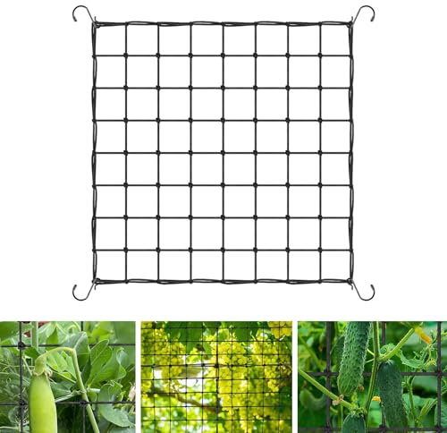 Filet Treillis Élastique 80x80cm pour Plantes Grimpantes Extérieur avec 4 Crochets - Idéal pour Légumes, Fruits, Fleurs dans Jardins et Serres (80 * 80)