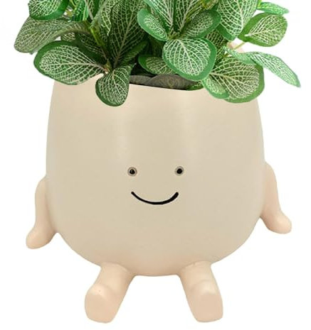 HunicandIU Faccia Portavaso Appesi Vasi Di Fiori Con Faccia Altalena, Vaso Di Resina, Faccia Piante Grasse Vaso Di Fiori Con Sorriso Viso E Altalena