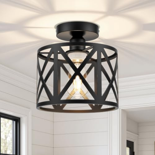 BLNAN Deckenlampe Schwarz Modern Deckenleuchte aus Metall E27-Fassung, 22cm | 1-flammige, Runde Metall-Käfig-Lampenschirm, Industrial Deckenleuchte für Eingangshalle Korridor Wohnzimmer Waschküche Küche