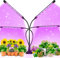ZHENNBY Pflanzenlampe LED Streifen Vollspektrum Grow Light für Zimmerpflanzen Pflanzenlampe mit Clip Stecker Timer 3 Modi Wachstumslampe Wachsen licht für Gemüse Topf Sämlinge Wachsende Blühende