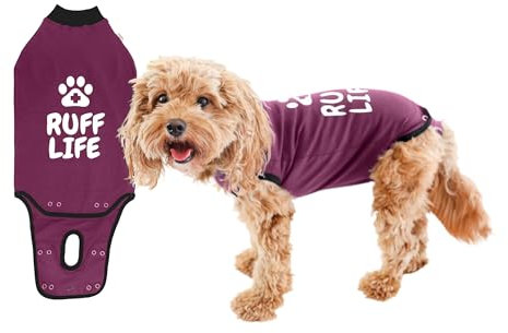 BellyGuard Hundebody nach OP für Hündin & Rüde, OP Body Hund Kastration Hündin, Hunde Body Operation Hündin, Body für Hunde nach OP & Hundebody nach Kastration Rüde, Alternative zu Halskrause