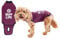 BellyGuard Hundebody nach OP für Hündin & Rüde, OP Body Hund Kastration Hündin, Hunde Body Operation Hündin, Body für Hunde nach OP & Hundebody nach Kastration Rüde, Alternative zu Halskrause