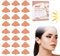 Sonnenschutz Nase,Nasenschutz Sonne,UV Nasenschutz Outdoor,Nasenpflaster Outdoor,Nasenschutz für Frauen Männer Anti-UV den Laufen Bergsteigen Wandern Radfahren - Atmungsaktiv Hautfreundlich,24PCS