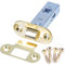 Brass Tubular 63mm Mortice Latch - Round Face Plate Door Handle Catch + Fixings