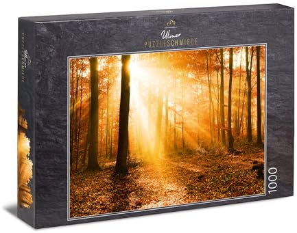 Ulmer Puzzleschmiede „Goldener Herbstwald“ - Klassisches 1000 Teile Natur-Puzzle – poetische Herbststimmung als Puzzle: Das Licht der tiefstehenden Sonne durchflutet die Bäume im bunten Herbst-Wald