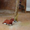 mitienda mit Liebe gemacht Krippentiere Ochse liegend hell 6,5 cm