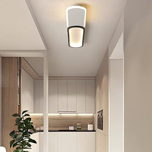 LED Wohnzimmer-Lampe Deckenlampe mit Fernbedienung Deckenstrahler Oval Schienenbeleuchtung Schwarz Wandleuchte Deckenleuchte für Wohnzimmer, Büro, Schlafzimmer, Terrasse,Veranda Lampe (L60cm Schwarz)