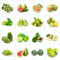 230 pcs obst samen set - plants winterharte stauden mehrjährig obstsamen, obstsamen bio saatgut obst frisch gartenarbeit früchte geschenke für gartenliebhaber spalierobst balkonpflanzen