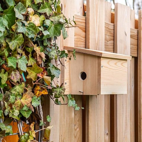 CJ Wildlife Nistkasten Sperling – Nistkasten für Vögel für draußen wetterfest – Holz FSC® 100% Braun – Brutkasten für Haussperlinge – Einflugloch 34 mm