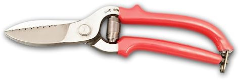 CESOIE FORGIATE DA CALZOLAIO/CUOIO LAMA SEGHETTATA