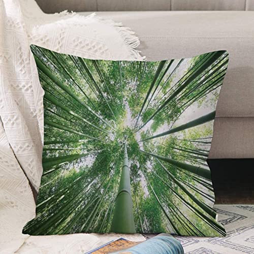 Kissenbezug 45x45 cm,Tropischer Regenwald Hohe Bambusbäume im Natur-Thema-Bild im Grove-exo,Outdoor Kissen Kissenbezüge Kissenhülle Sofa Kissen dekokissen Zierkissen für Wohnzimmer Garten deko draußen