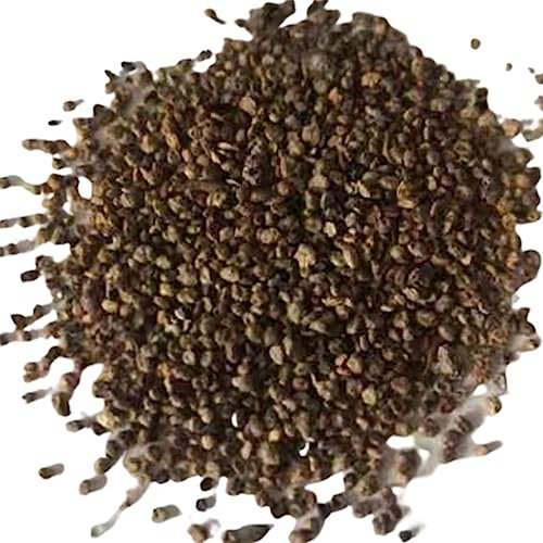 Generic Semillas de helecho de Maidenhair, 100 Unids/bolsa Semillas de helecho de Maidenhair Semillas de helecho de riego medio verde vibrante sin OGM para jardín Semillas de helecho culantrillo