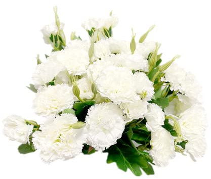 4 Bündel künstlicher Seidenblumen, weiße Nelken, permanente Blume, 30 cm Blumenstrauß und grünes Blatt für Party, Braut, Hochzeit, Blumen, Festival, Dekoration mit 10 Stück pro Strauß