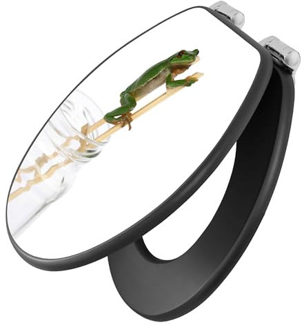 banjado Toilettendeckel anthrazit mit Absenkautomatik/WC Sitz mit Absenkautomatik anthrazit/Klodeckel grau/Toilettensitz dunkel/edle Klobrille - Motiv Wetterfrosch