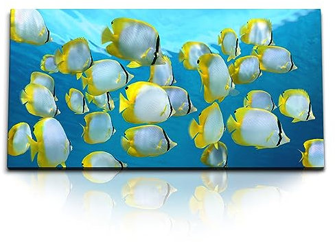 Paul Sinus Wandbild 120x60cm – Faszinierender Fischschwarm im Ozean: Meeresleben in brillanten Farben auf hochwertiger Leinwand für moderne Wanddekoration