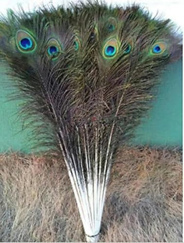 10 Stück/Los Natürlich gefärbte gelbe Pfauenfedern 80-90 cm/32-36 Zoll Pfauenfeder zum Basteln Hochzeitsdekoration Federn-Natur