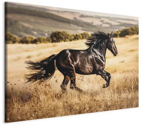 decomonkey Akustikbild Premium Pferde 90x60 cm 1 Teilig Kunst Akustikpaneele Akustikdämmung Schallschlucker Schallabsorber Schalldämmung Akustikplatten Wandbild Schallschutz Leinwand Tonstudio