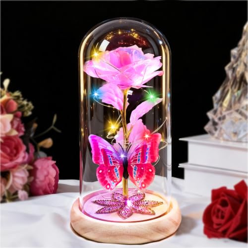 Beferr Light Up Flower Birthday Gifts for Mum Wife Grandma Christmas Pink | Crystal Rainbow Flower,Present for Women Christmas,Galaxy Colorful Rose w/Butterfly,for Her Unique Gift,Eternal Rose In Glass