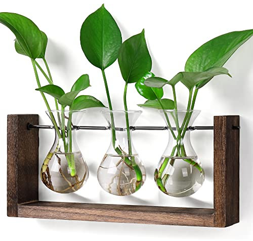 YIBOT Station de propagation murale à suspendre, terrarium pour plantes avec support en bois, plantes hydroponiques, décoration de maison, bureau, salon, cadeau - 3 vases en verre à bulbe