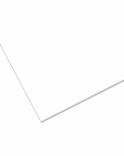 nattmann Plexiglas® GS coloré 3 mm – Plaque en verre acrylique incassable polyvalente pour objets lumineux et plus encore – 25 x 50 cm – Blanc translucide (WH17)