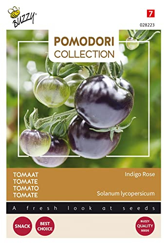 Buzzy Pomodori Tomato Indigo Rose (Black) - Content: Approx. 8 Seeds