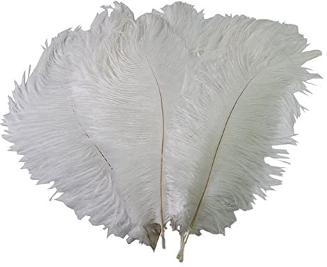 Lot de 50 plumes d'autruche blanches pour décoration de mariage, décoration d'intérieur, centre de table, loisirs créatifs, accessoire pour fête scolaire