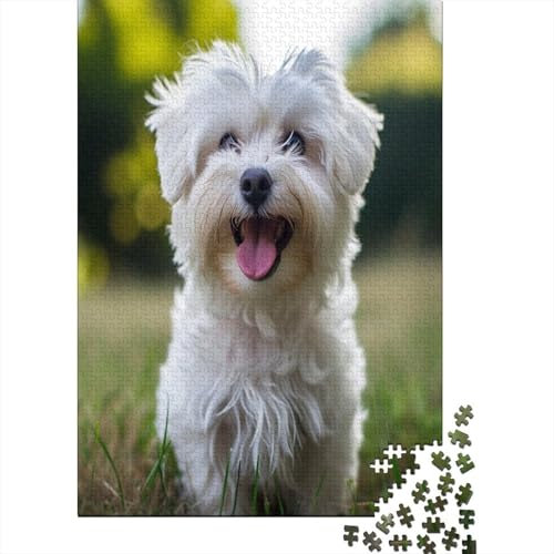 Maltese Dog Jigsaw Puzzles For Adults 1000 Piece Puzzle Jigsaw 1000 Piece For Adults And Kids Jigsaw Puzzle Great Gift For All Ages 1000pcs (75x50cm)