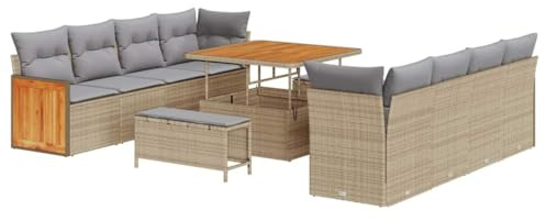 vidaXL Gartensofa-Set 11 STK. 10-Sitzanzahl Beige und Hellgrau