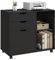 WOLTU Rollcontainer mit 3 Schubladen, mobiler Aktenschrank mit 5 Rollen, Büroschrank mit verstellbarem Hängeregistratur & Einlegeboden, für Büro Zuhause, 80x69,5x39,5 cm, Schwarz