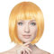 Plitsch Platsch Perücke Bob Pagenkopf Cabaret Wig Kurzhaar Charleston Perücken Fasching Karneval Halloween Motto Party - 24 Farben Varianten für Erwachsene, One Size (Gold)