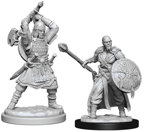 Dungeons & Dragons D&D Nolzur's Marvelous Miniatures - Human Barbarian Male (6 Units)
