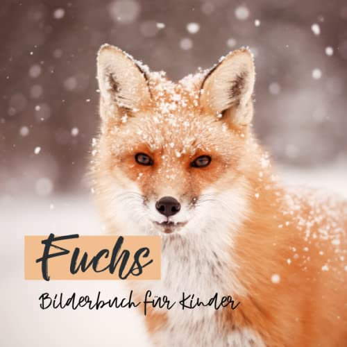 Bilderbuch für Kinder - Fuchs: Fuchsin Bildern - Kinder von 2 bis 5 Jahren