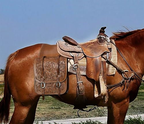 EQUIEMPRESS Western Satteltasche aus Leder für Pferde | Reitspaß, Wanderritt, geeignet für Reiten und Fassrennen | Satteltasche mit verstellbarem Riemen, Größe: 10x10x3 AZ-15