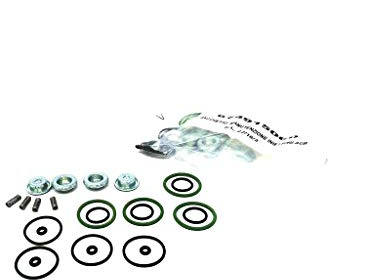 Kit Revisione Iniettore I-Plus Landi Renzo Evo Eco