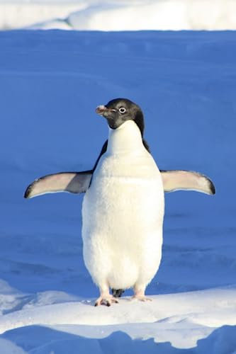 Penguin Notebook: Lined and Unruled, 6x9 inches, 120 pages