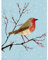 Piccadilly Greetings Traditionelle Weihnachtskarte, Motiv: Rotkehlchen, 20,3 x 15,2 cm