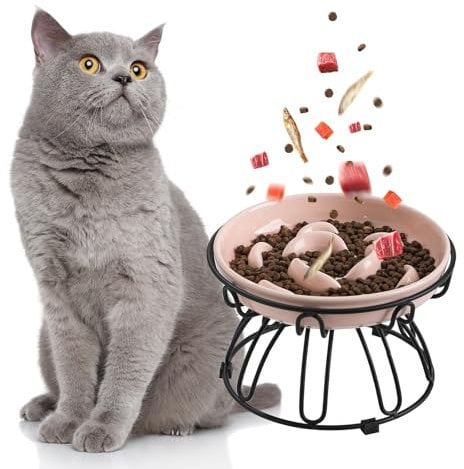 Gamelle Anti-Glouton en Céramique pour Chat – Bol Surélevé avec Support Métal Antidérapant – Écuelle pour Alimentation Lente et Anti-Vomissement