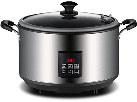 Digital Electric Smoker for Kitchen and Outdoor use, 500W with Hot or Cold Smoke