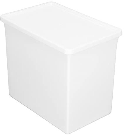 Caja de Almacenamiento de Plástico Grande con Tapa, Recipiente Bolso Apilable, Apariencia Elegante, Material Alto, Hebilla hacia Arriba, Tracción, para Organización Doméstica, con Surcos, a Prueba