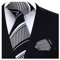 HISDERN Herren Krawatte Gestreifte Hochzeit Krawatte & Einstecktuch Set Schwarz-Weiss
