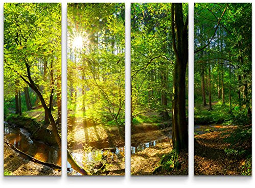 Paul Sinus Art Leinwandbilder | Bilder Leinwand 130x90cm 4 Teile Wald im Sonnenschein