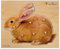 Doron Layeled E72511480, Large Photographic Wooden Peg Puzzle Bunny, Various