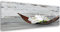 Feeby Impression Sur Toile Fleur Une Orchidée 120x40 cm 1 pièce Tableaux Tableau Mural Image Moderne Photo Décoration Artistique Photographie Design Chambre Salon Cuisine Zen Rustique Blanc Brun