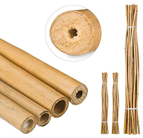 Relaxdays 75x Tiges en Bambou 150 cm, en Bambou Naturel, bâtons en Bambou comme tuteur ou décoration, pour bricoler, Nature
