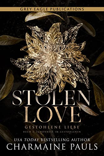 Stolen Love – Gestohlene Liebe (Schönheit im Gestohlenen 3)