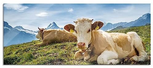 Pixxprint Glasbild Panorama, Wandbild aus Echtglas, Simmentaler Kühe vor Schweizer Alpen, 100x40 cm, inkl. Aufhängung und Abstandshalter